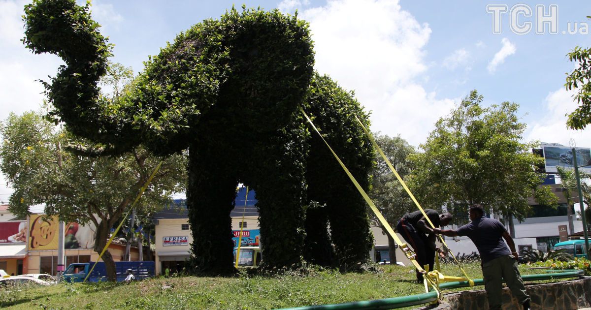 Евакуація та закупи у супермаркетах: як Кариби переживають атаку урагану десятиліття_8 / © Reuters