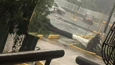 Евакуація та закупи у супермаркетах: як Кариби переживають атаку урагану десятиліття_10 / © Reuters