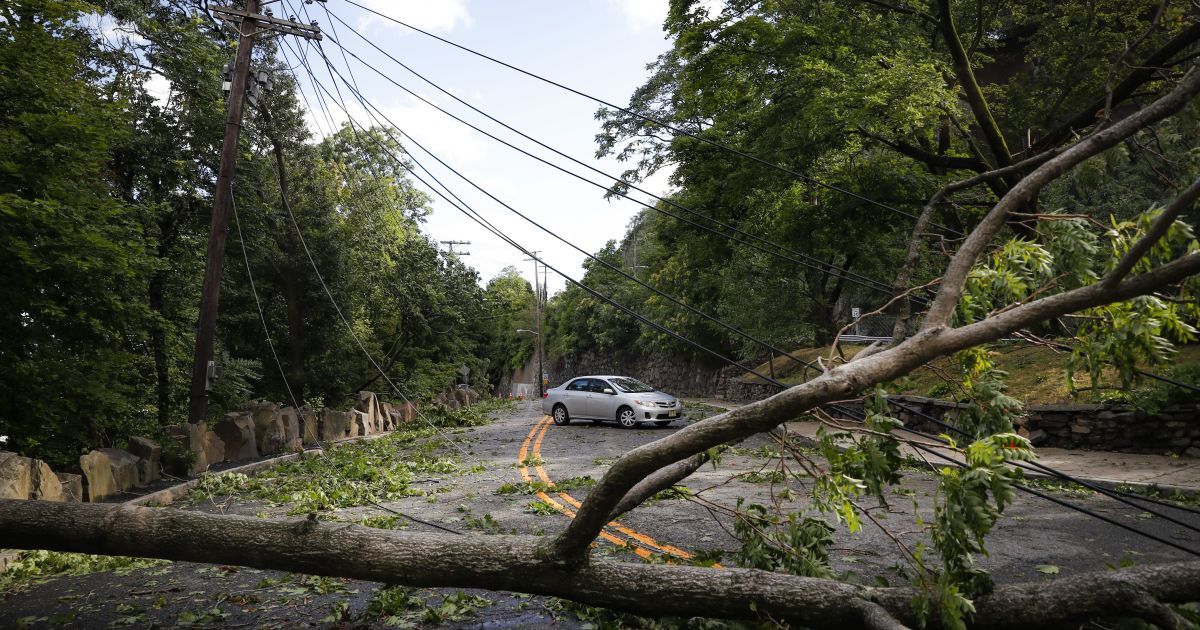 Затоплены здания и дороги, поломанные деревья: в США свирепствует мощный шторм