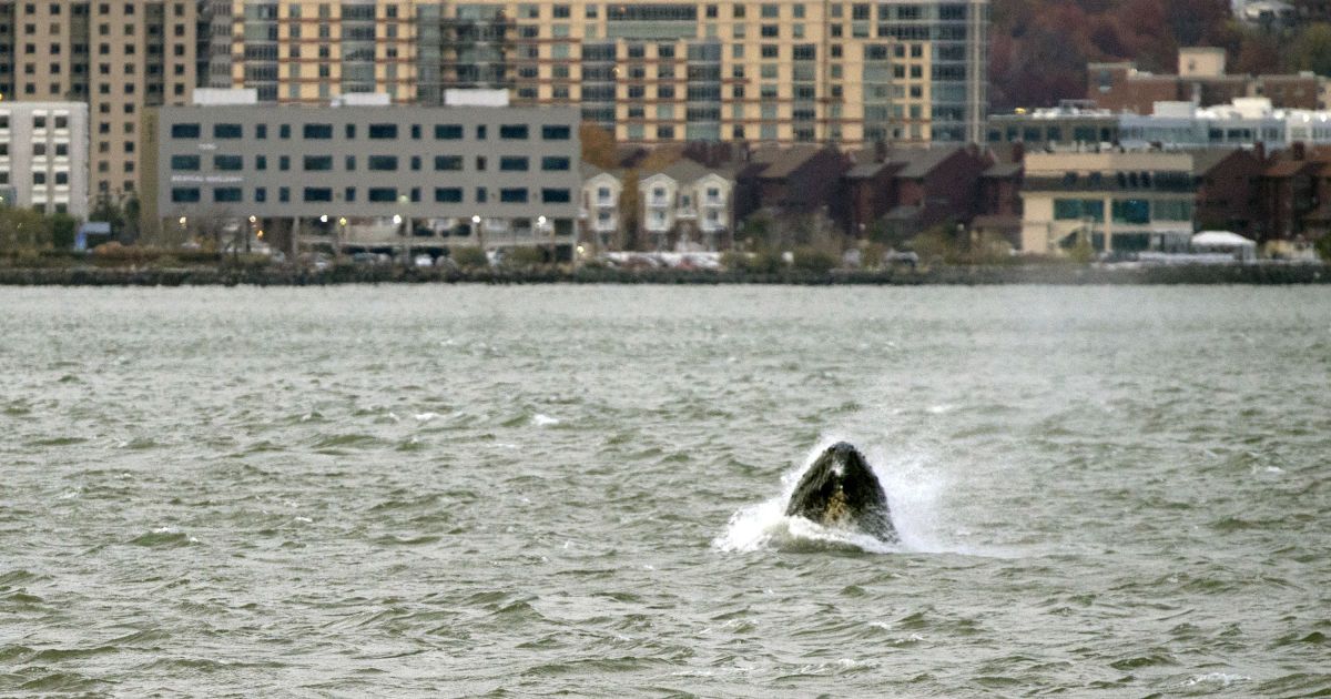 Фото: Associated Press
