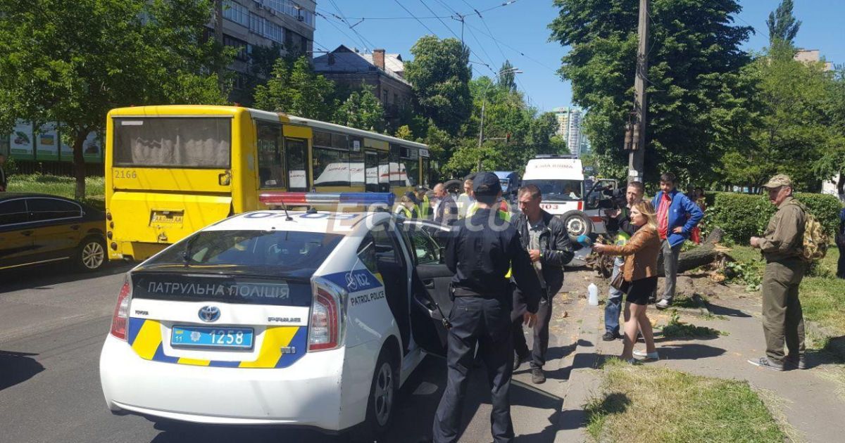 У Києві автомобіль із чоловіками напідпитку протаранив дерево