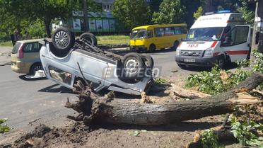 У Києві автомобіль із чоловіками напідпитку протаранив дерево_4 / © Еспресо.TV