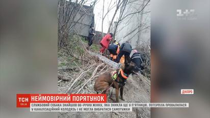 У Дніпрі пес знайшов жінку, яка просиділа в колодязі дві доби