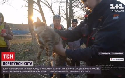 Кости и кожа: под Харьковом спасли кота, который просидел в колодце около 2 недель
