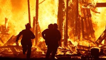 чоловік помер після фестивалю Burning Man _5 / © Reuters