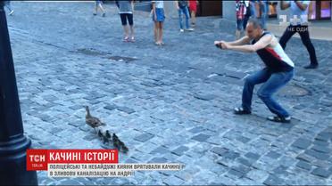 Найзворушливіша спецоперація: на Андріївському врятували качку з пташенятами