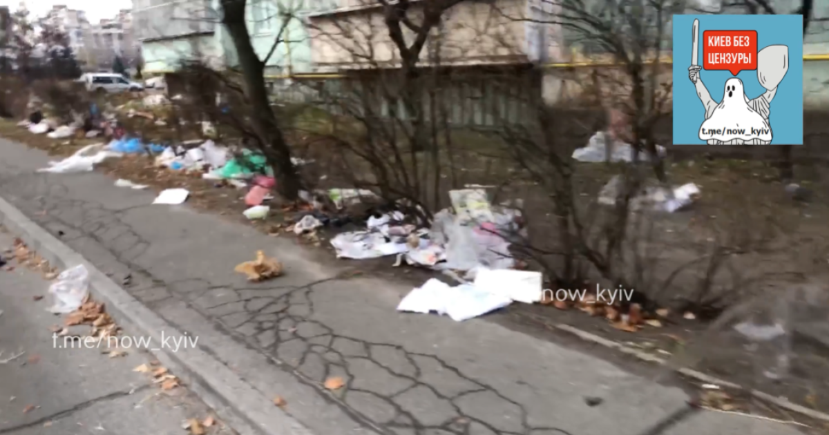 У Києві після продуктового ярмарку вулиця перетворилася на смітник: відео
