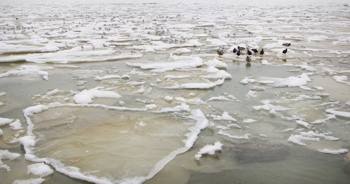 Замерзле море в Одесі.