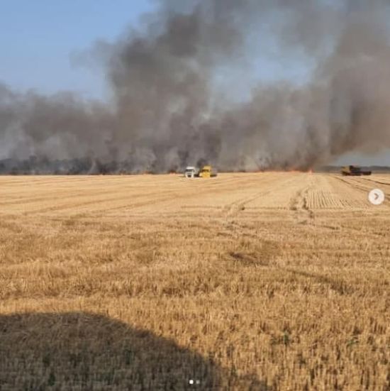 Поблизу Кременчука запалили стерню: вогонь наближається до людських осель