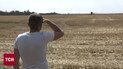 Обгорелый хлеб... Минимум дождя, максимум обстрелов: что с урожаем на юге Украины?