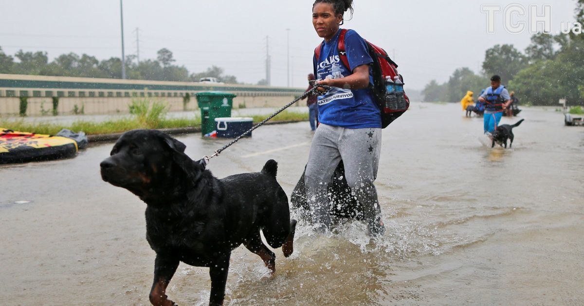 ураган гарві у техасі_17 / © Reuters