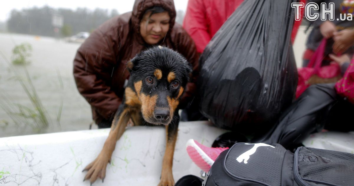 ураган гарві у техасі_12 / © Reuters