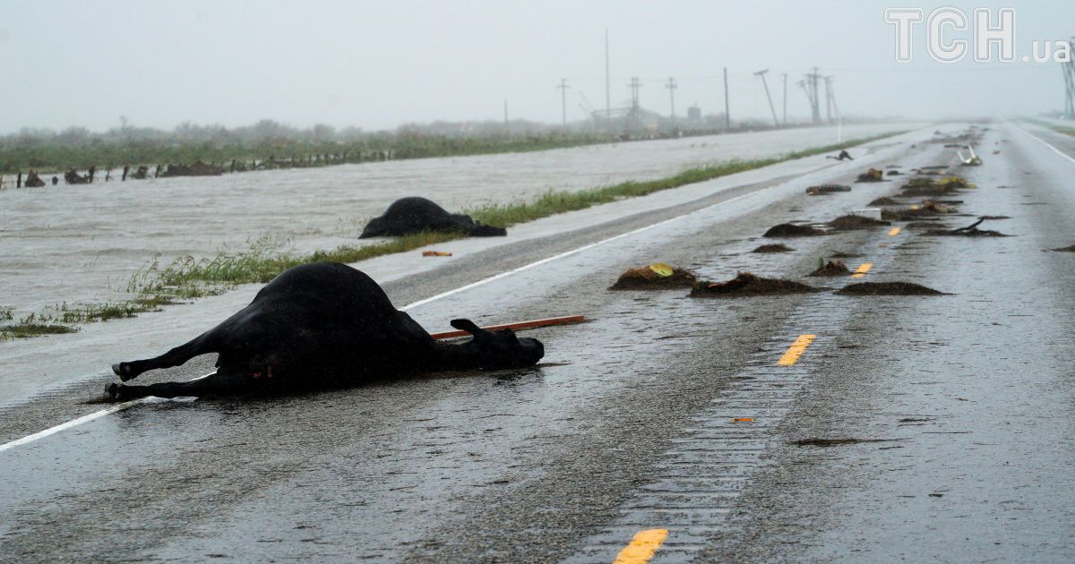 ураган Гарві у США_5 / © Reuters