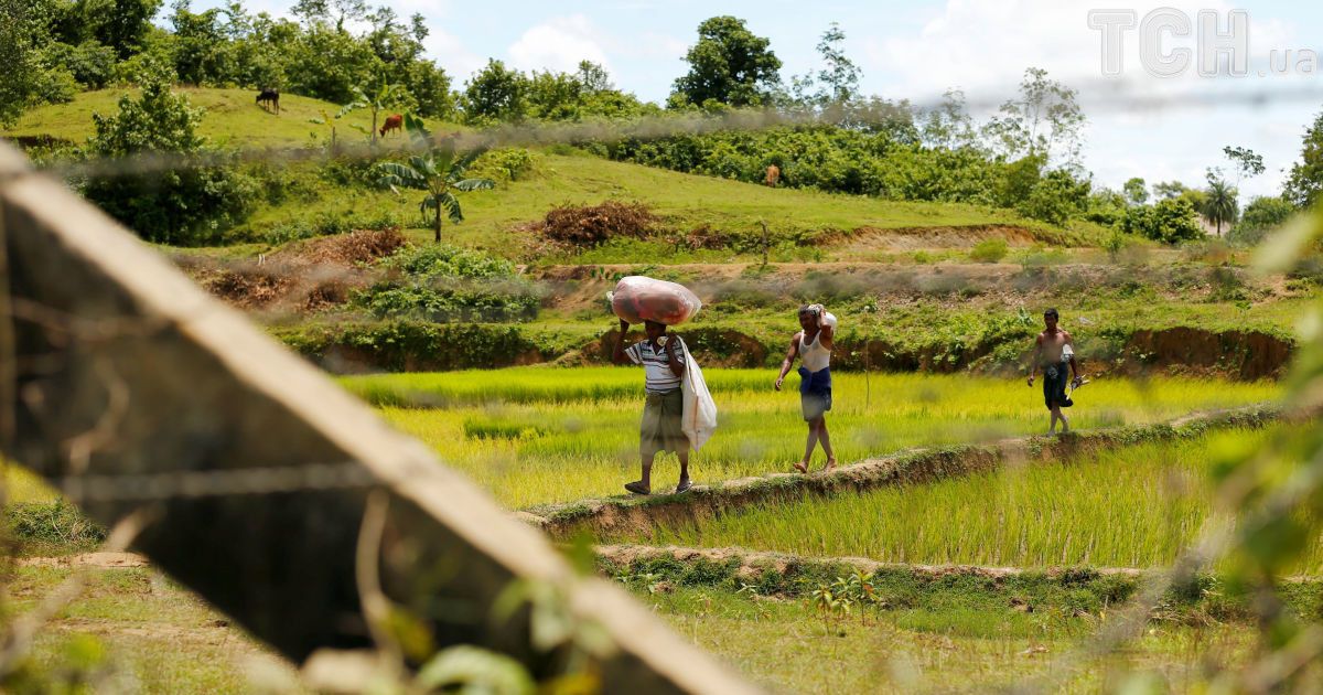 Рохінья тікають до Бангладеш через спалах насильства у М'янмі. / © Reuters