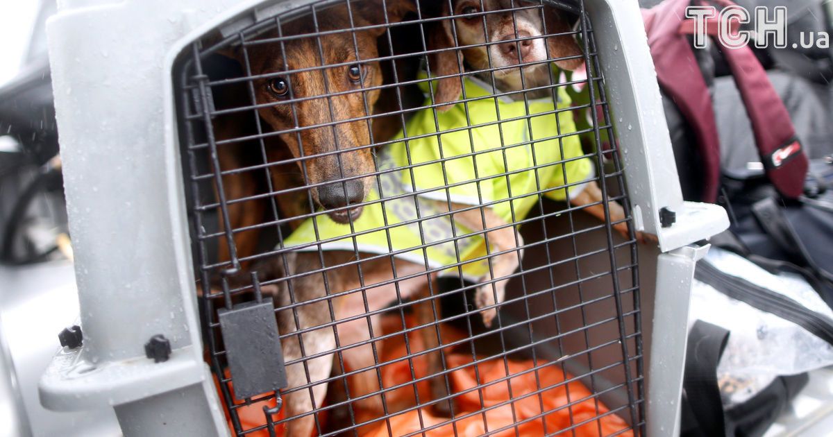 ураган гарві у техасі_38 / © Reuters