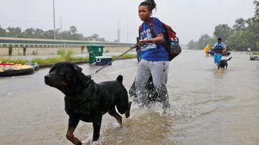 ураган гарві у техасі_17 / © Reuters