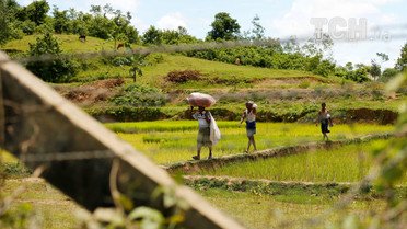 Рохінья тікають до Бангладеш через спалах насильства у М'янмі. / © Reuters