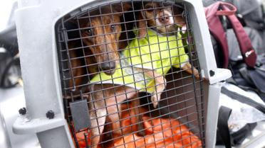 ураган гарві у техасі_38 / © Reuters