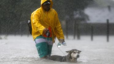 ураган гарві у техасі_2 / © Reuters