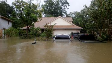 ураган гарві у техасі_43 / © Reuters