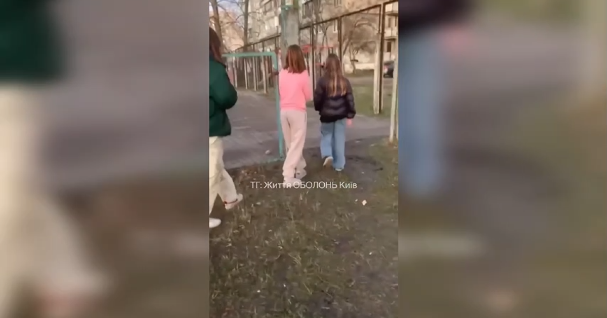 Поліція проводить перевірку за фактом побиття школярки / Фото: скрин відео