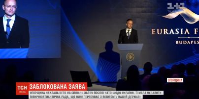 Угорщина заблокувала заяву НАТО щодо України