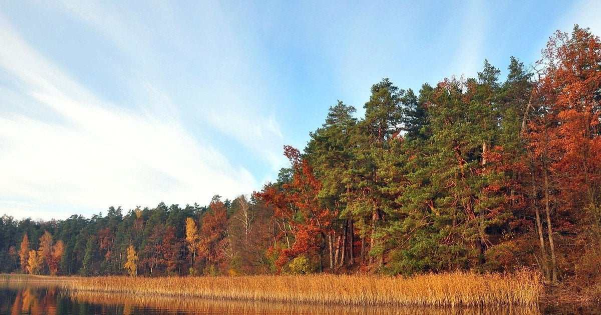Прогнозується тривалий період сонячної погоди