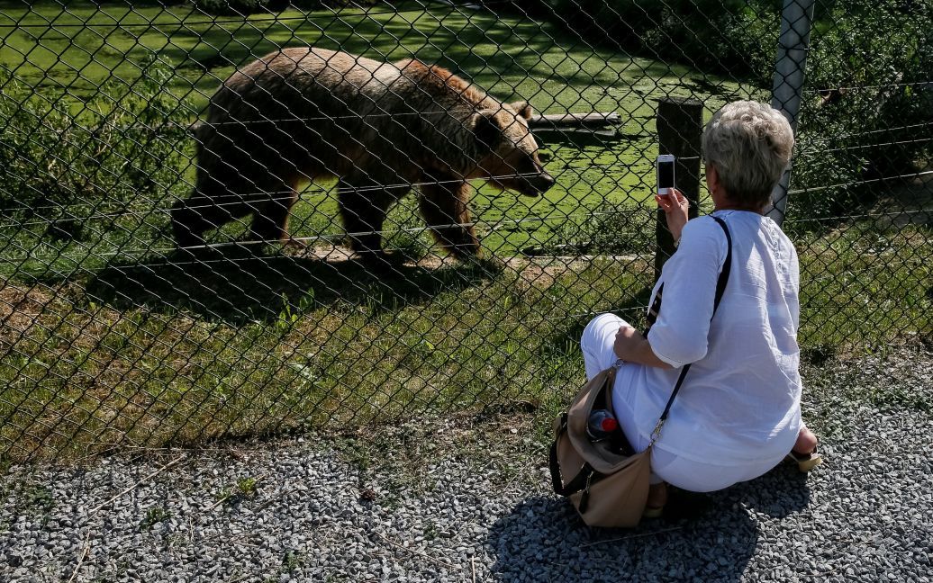 Хижаки насолоджуються життям під наглядом фахівців / © Reuters