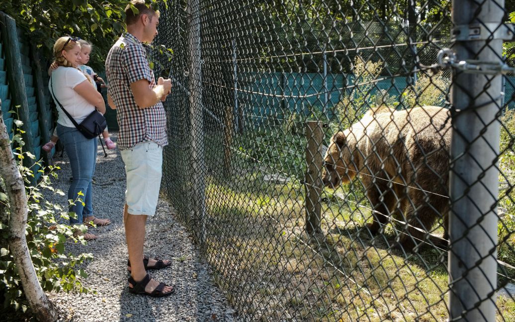 Хижаки насолоджуються життям під наглядом фахівців / © Reuters