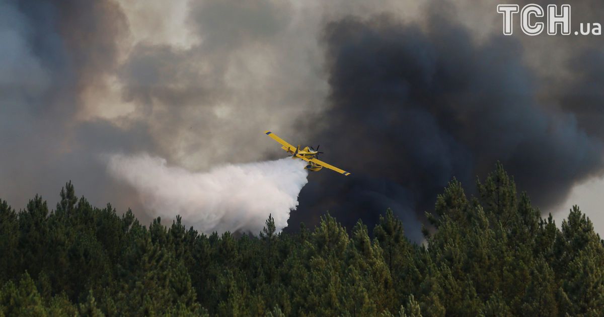 Пожежі в Португалії_1 / © Reuters