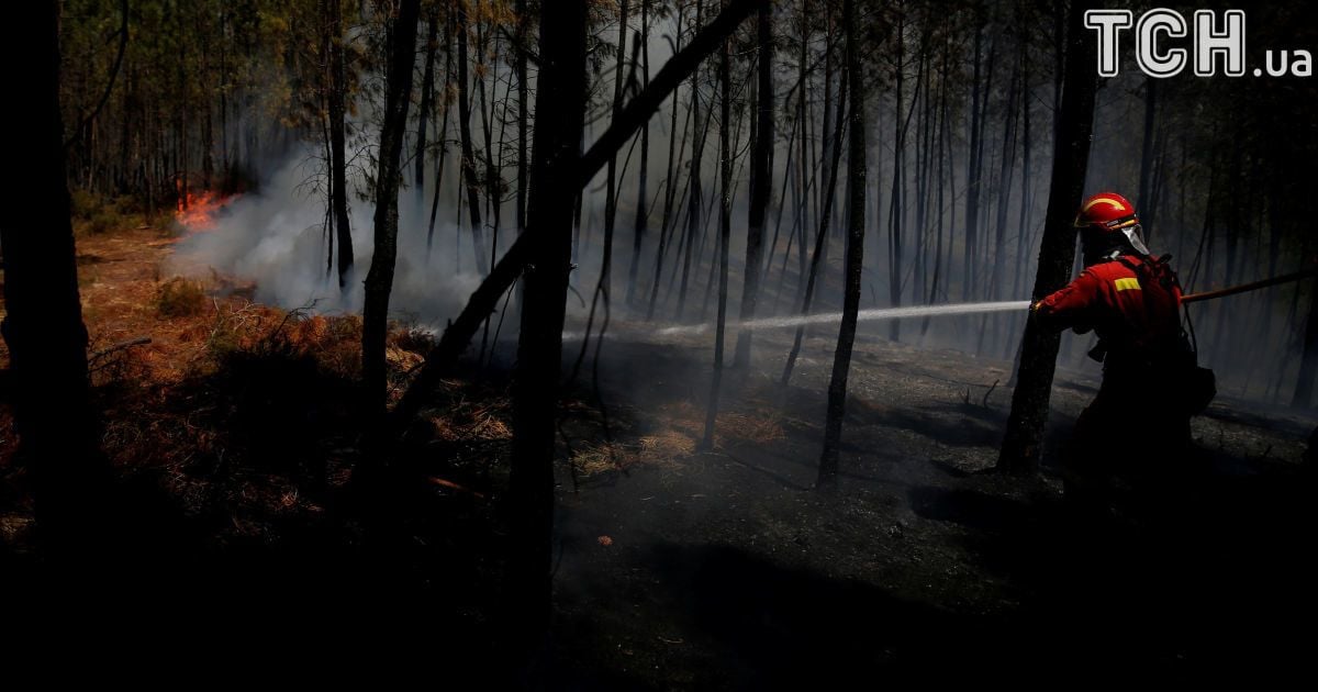 Вследствие лесных пожаров в Португали огонь заблокировал целое село