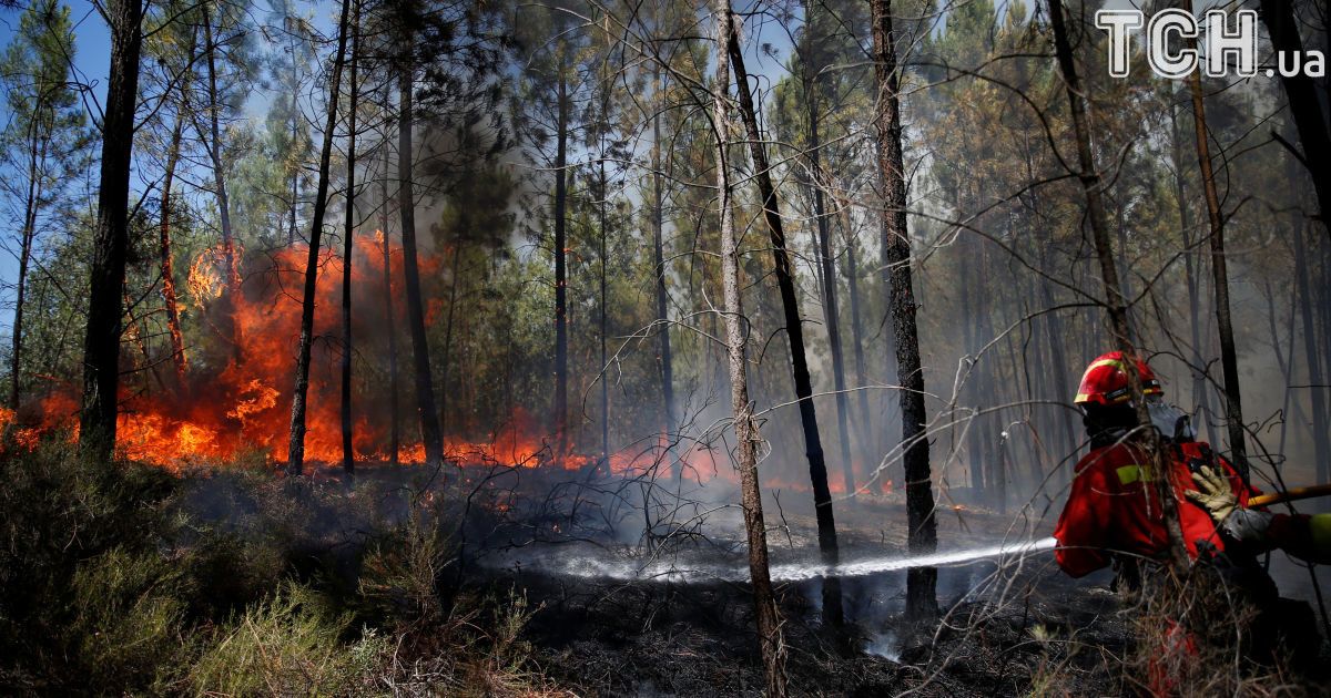 Пожежі в Португалії_2 / © Reuters