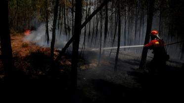 Пожежі в Португалії_6 / © Reuters