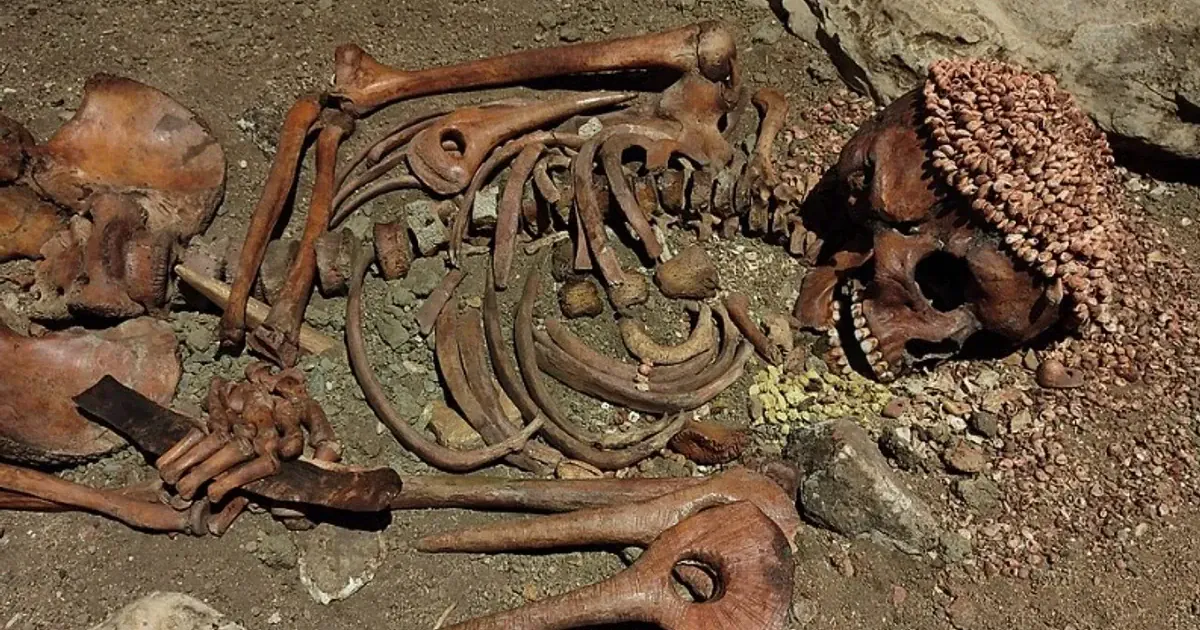 «Принц». Фото: Лоренцо Донцеллі/CC0 1.0