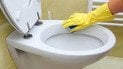Як почистити унітаз