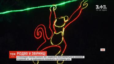 У зоопарку Лос-Анджелеса відвідувачів розважають танцями та світловими виставами