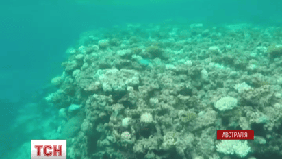 Ученые из Австралии ошеломили новым исследованием