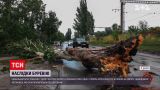 В Днепре ливень и ураган повалили деревья на дорогу и крыши