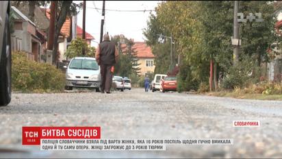 В Словакии арестовали женщину, которая 16 лет подряд громко включала одну и ту же оперу