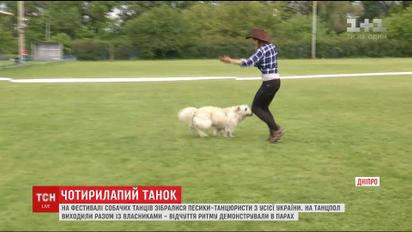На фестивале собачьих танцев в Днепре собрались собачки-танцоры со всей Украины