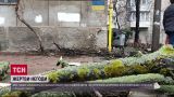 Негода в Одесі: дерева падають просто на перехожих