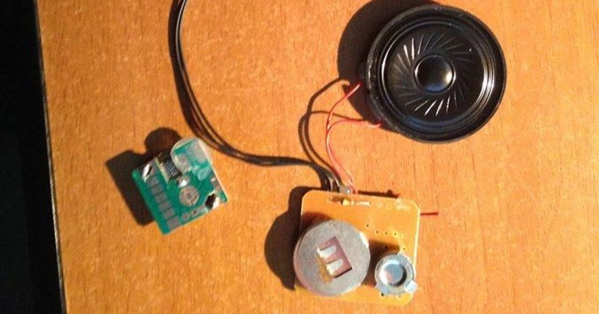 Известный журналист Рахманин нашел у себя "жучок" для прослушивания