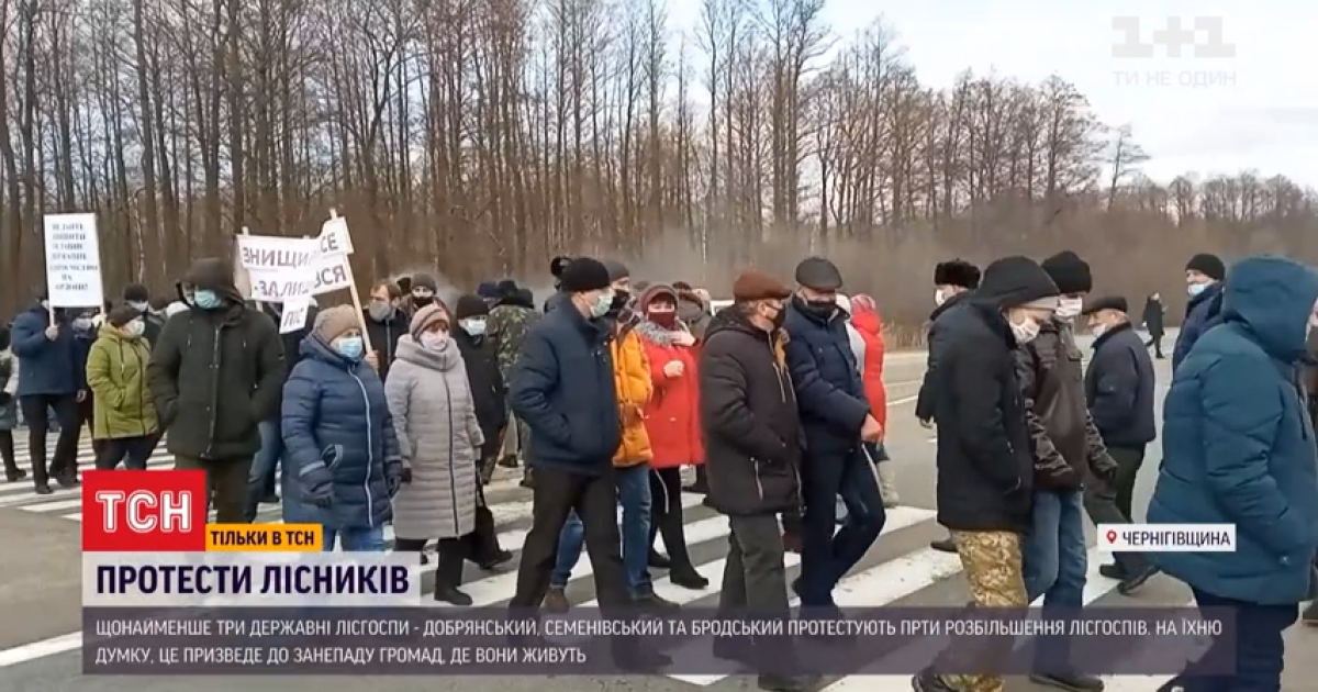 В Україні спалахнули протести проти реформи лісової галузі: "Як нам далі виживати?"