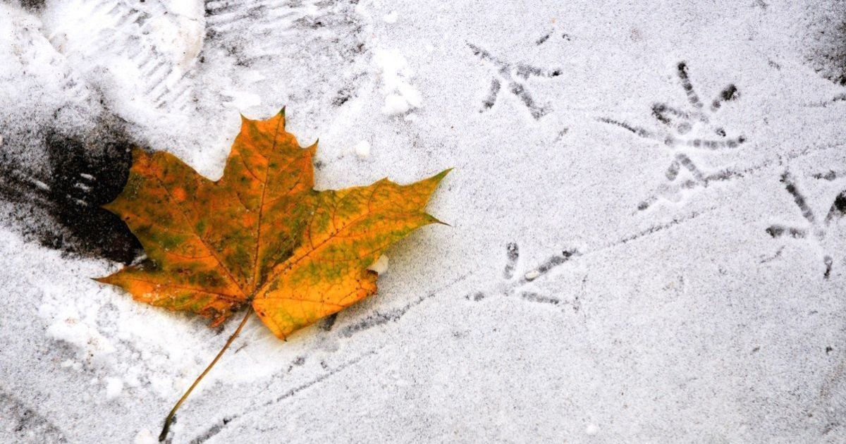 Обіцяних морозів уже не буде: в Україні різко зміниться погода