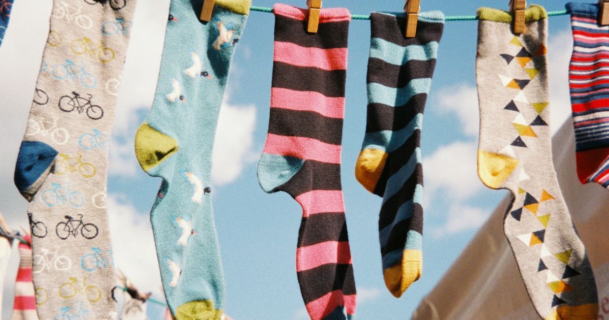 Як позбутися мурах на плодових деревах за допомогою шкарпеток