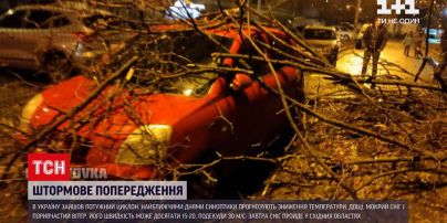 Негода в Україні: у країні вирує потужний штормовий циклон – є дані про 6 травмованих