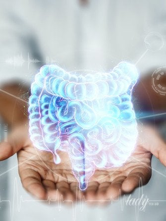 Як кишкові мікроби впливають на мозок