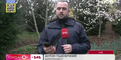 У Київському ботанічному саду імені Фоміна розквітли магнолії