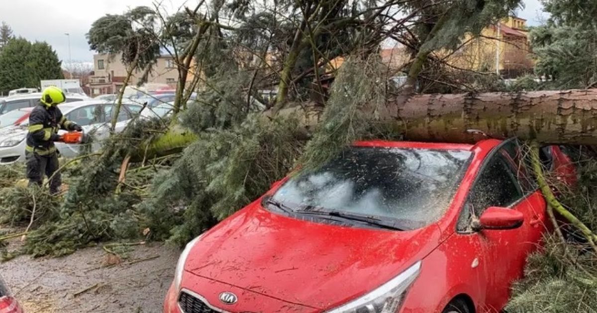 Поврежденные автомобили и поваленные деревья. Чехией пронесся мощный ураган