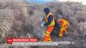 Дорогу в штате Вашингтон заблокировали клубки перекати-поля